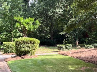 Bush Trimming by Raysho Robinson for Michael B. in Riverdale, GA