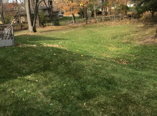 Leaf Removal by William McCoy for Barbara R. in Frankfort, IL