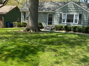 Leaf Removal by Bryan Fletcher for Kelly Q. in Mission, KS