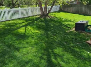 Lacey G.'s Lawn Maintenance service result