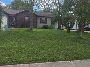 David B.'s Lawn Mowing service result