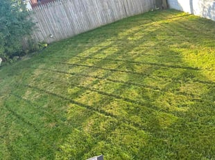 Morshida E.'s Grass Cutting service result