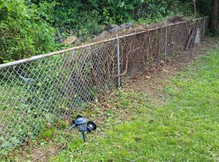 Cleanups by Bill Soper for Pauline B. in Prospect Park, PA