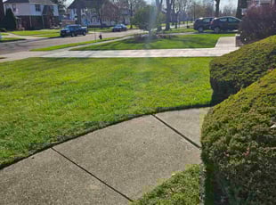 Huron H.'s Lawn Service service result