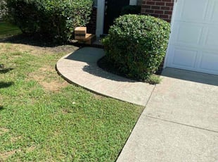 Bush Trimming by Hector Milan for Eman H. in Nashville, TN