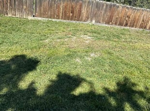 Weeding by Alma Bonar for Don F. in Salt Lake City, UT