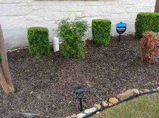 Bush Trimming by Vincent Vasquez for Phyllis B. in San Antonio, TX
