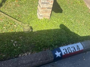 Sandi G.'s Lawn Mowing service result