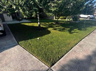 Stacie S.'s Lawn Mowing service result