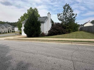 Leaf Removal by Tomas Mora for Nakeshia W. in Stockbridge, GA