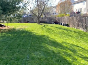 Carla M.'s Lawn Mowing service result