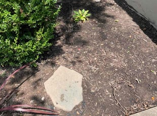 Weeding by Bo Hickmon for Monica R. in Kansas City, MO