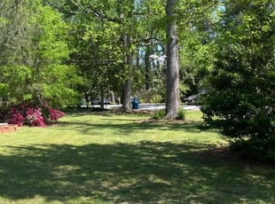 Dawn T.'s Lawn Mowing Service service result