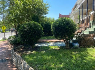 Bush Trimming by Cristian Ramirez for Edith C. in Washington, DC