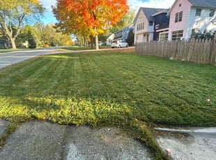 Amanda R.'s Lawn Mowing Service service result