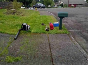 Shiela O.'s Lawn Care service result
