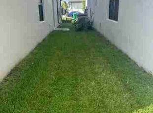 Kristen A.'s Lawn Mowing service result