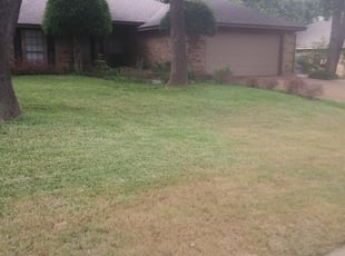 Leaf Removal by Kody Lyon for Ricky J. in North Richland Hills, TX