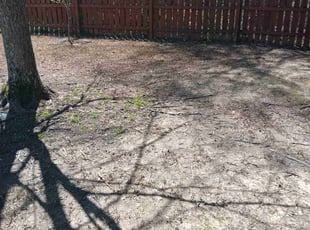 Cleanups by Jason Aycoth for Anoop N. in Charlotte, NC