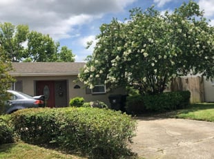 Bush Trimming by Olga Diaz for Joan F. in Orlando, FL
