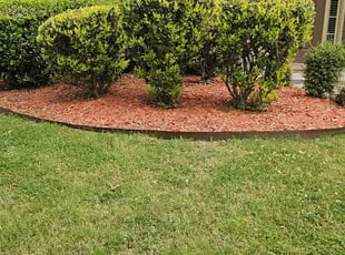 Bush Trimming by Chris Towery for Marcia W. in Buford, GA