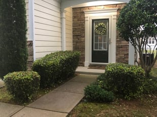 Teshia R.'s Bush Trimming service result
