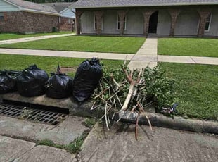 Cleanups by Edgar Trejo for Adam B. in Missouri City, TX