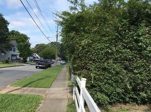 Bush Trimming by Marshall Nicholson for Jennifer B. in Norfolk, VA