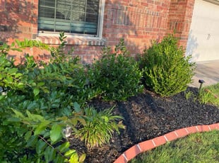 Casey G.'s Flower Bed Weeding service result