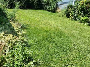 Leaf Removal by Ronnie Anderson for Richard M. in West Allis, WI