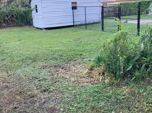 Cleanups by Robert Martin for Nora W. in Lakeland, FL