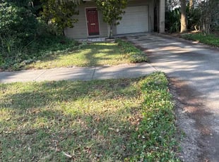 Leaf Removal by Ben Handy for Charlie K. in Orlando, FL