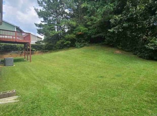 Leroy R.'s Lawn Mowing service result