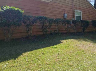 Bush Trimming by Joshua Walker for Sheryl L. in Stone Mountain, GA