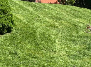 George M.'s Lawn Service service result