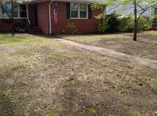 Cleanups by Christie Brito for John P. in Norfolk, VA