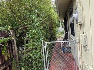 Pat S.'s Bush Trimming service result
