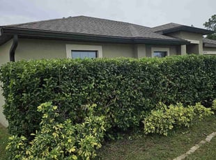 Bush Trimming by Robert Nelams for Roen B. in Leesburg, FL