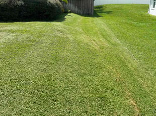 Kathryn M.'s Lawn Service service result