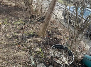 Leaf Removal by Errick Elias for David M. in Buffalo, NY