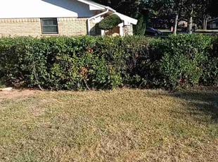Bush Trimming by Chris Reno for Scott W. in Arlington, TX