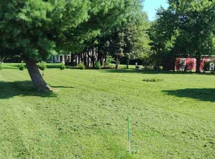 Erick B.'s Lawn Care service result