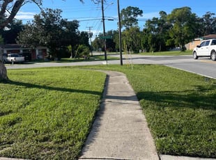 Darryl F.'s Lawn Mowing service result