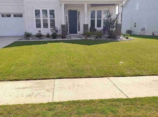 Shannon N.'s Grass Cutting service result
