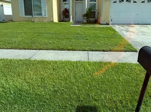 William O.'s Lawn Mowing service result