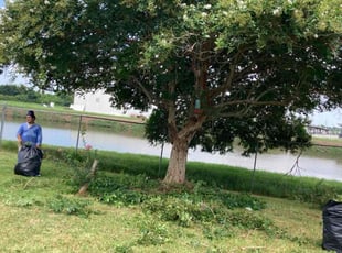 Bush Trimming by Holver Josue Torres Quintero for Shannon P. in Gretna, LA