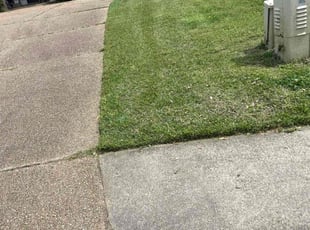 Maureen N.'s Lawn Service service result