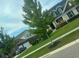 Phillip M.'s Grass Cutting service result