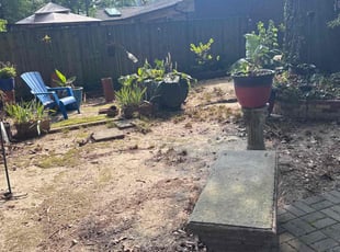 Yakaria B.'s Leaf Removal service result