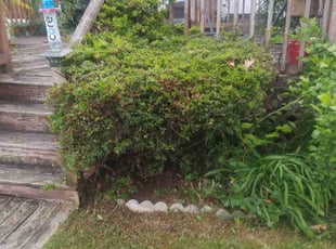 Bush Trimming by Jose Munoz for Cleveland S. in Harrisburg, PA
